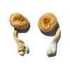 Buy psychedelic mushrooms online