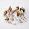 Penis Envy Magic Mushrooms For Sale Online