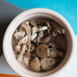Dried Psilocybe Stuntzii strain